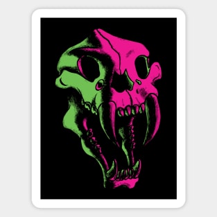 Sabertooth Skull Magnet